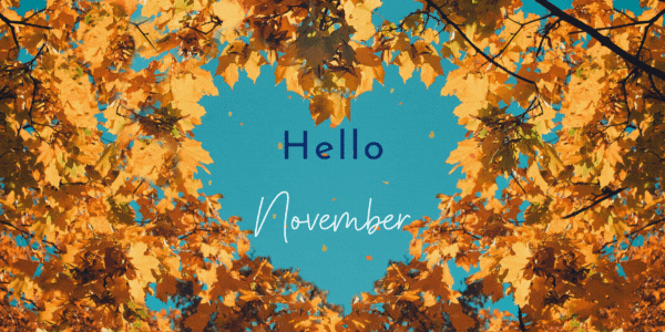 Hello November